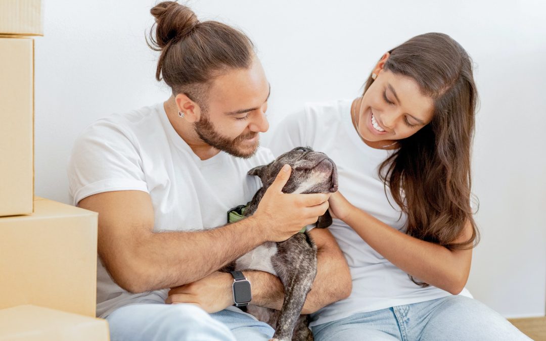 The Perfect Moment: Deciding When to Bring a New Pet Home